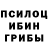 Псилоцибиновые грибы Psilocybe spivak.jzxturbo