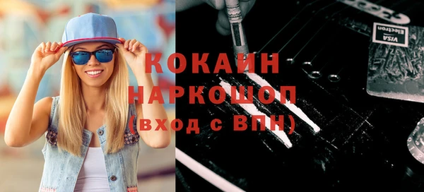 твердый Инсар