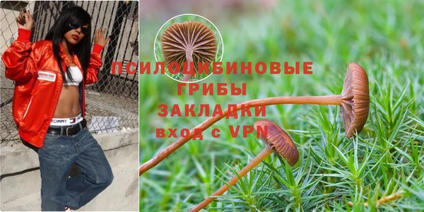 соль курить ск Пестово