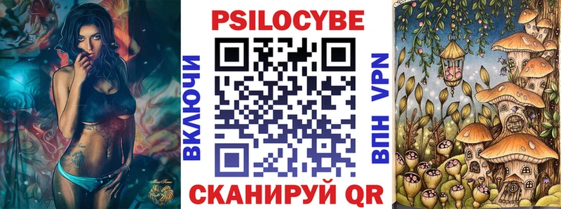 дарнет шоп  Усолье  Псилоцибиновые грибы Psilocybine cubensis 